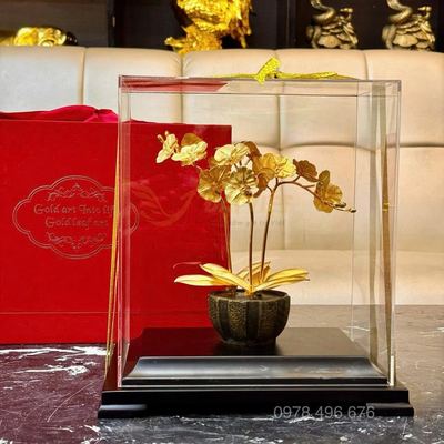 Lan Hồ Điệp Dát Vàng 24K